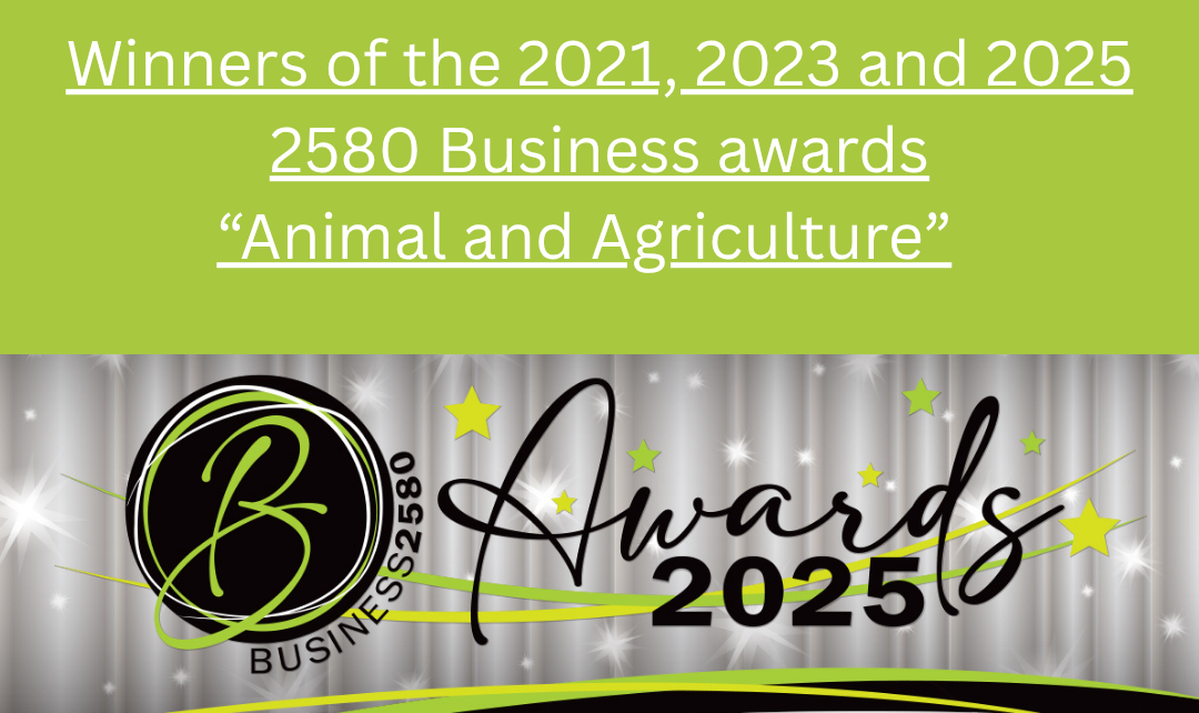 Winners of the 2021, 2023 and 2025 2580Business awards (1)